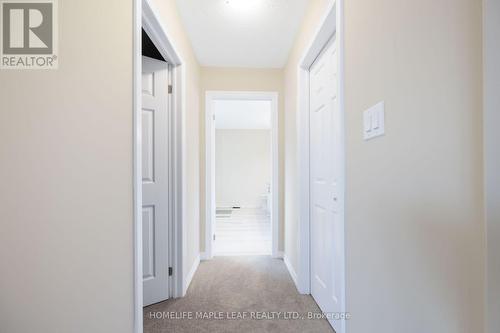 244 Warden Street, Clearview, ON 