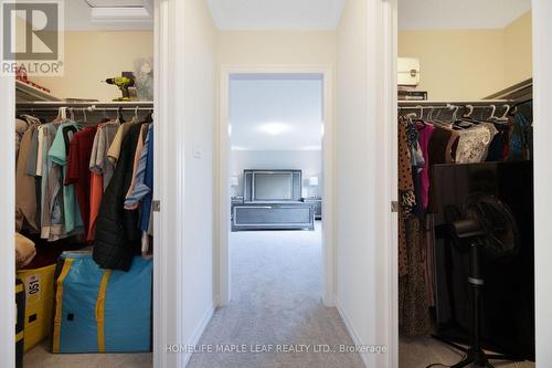 244 Warden Street, Clearview, ON 