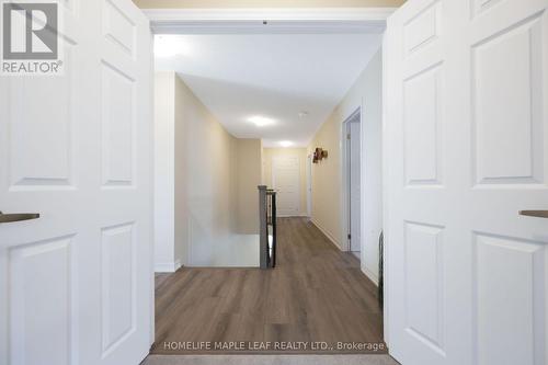 244 Warden Street, Clearview, ON 