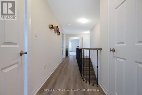 244 Warden Street, Clearview, ON 