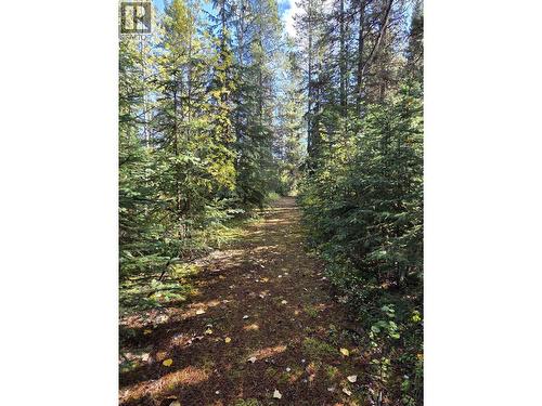 21741 Hamlet Frontage Road, Topley, BC 