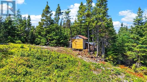 00 Big Pond Road, Hickmans Harbour, NL 
