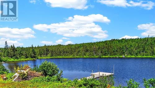 00 Big Pond Road, Hickmans Harbour, NL 