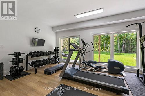 Exercise Room - 4767 14Th Line, New Tecumseth, ON 
