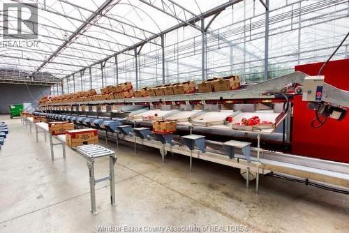 1475, 1501 County Rd 34, Kingsville, ON 