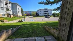 View from patio - 