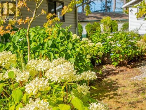 11070 Highway 101, Powell River, BC 