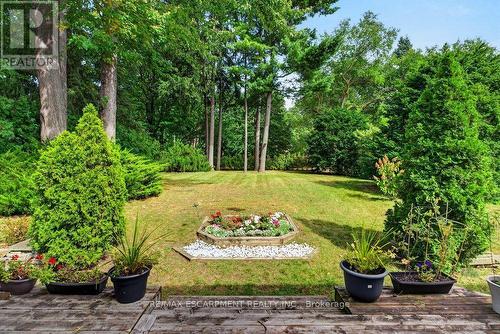 Spectacular backyard! - 159 All Saints Crescent, Oakville, ON 