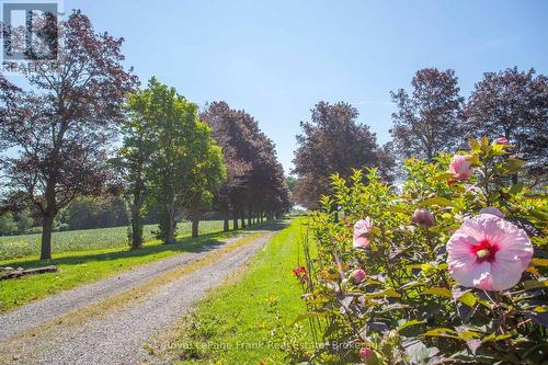 1350 4Th Line Road, Port Hope, ON 