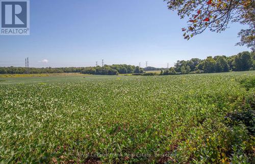 1350 4Th Line Road, Port Hope, ON 
