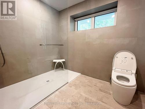275 Saint Paul Street, Collingwood, ON 