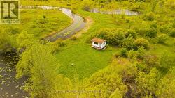 Bunkie - 