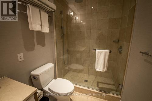Primary Bedroom 3 Piece En-Suite - 1203 - 300 Lisgar Street, Ottawa, ON 