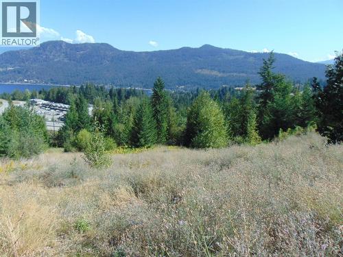 2624 Highlands Drive, Blind Bay, BC 