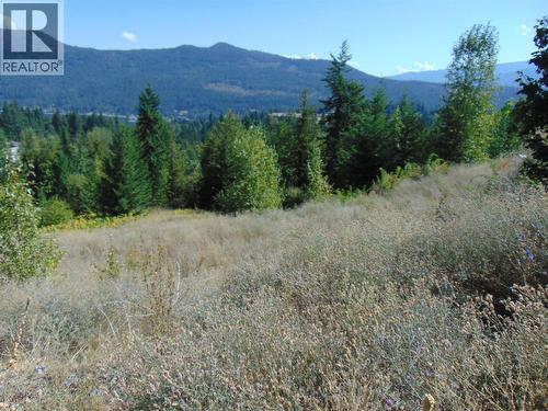 2624 Highlands Drive, Blind Bay, BC 