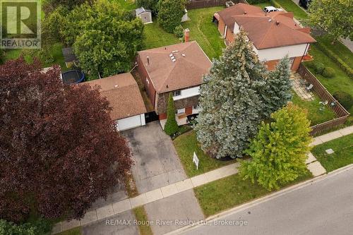 313 Lupin Drive, Whitby (Downtown Whitby), ON 