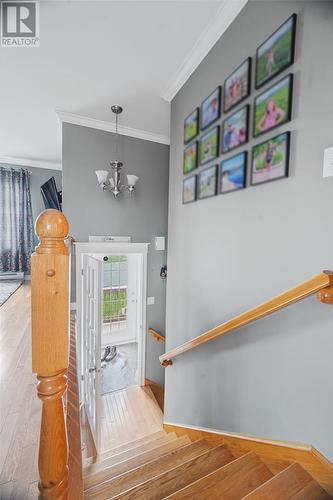29 Anquille Avenue, Paradise, NL 