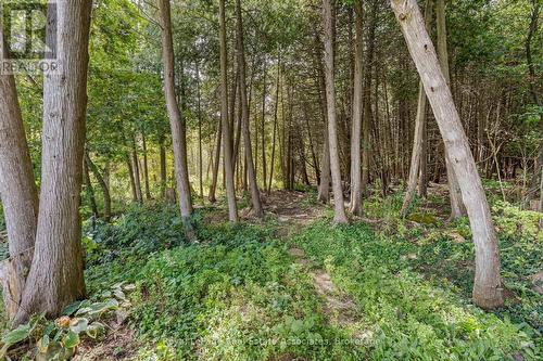 132 Elmore Drive, Halton Hills, ON 