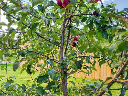 3 Hummingbird Street, Charlottetown, PE 