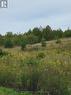 314346 Hwy 6 Highway, West Grey, ON 