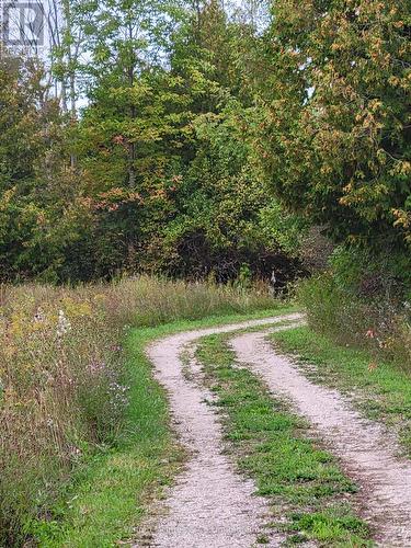 314346 Hwy 6 Highway, West Grey, ON 