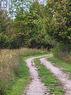 314346 Hwy 6 Highway, West Grey, ON 