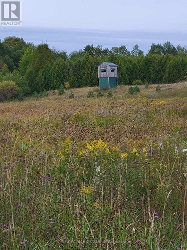 314346 Hwy 6 Highway, West Grey, ON 