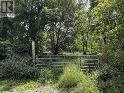 LOT 9 CONCESSION 11 CONCESSION S Meaford, ON N4K 1W1