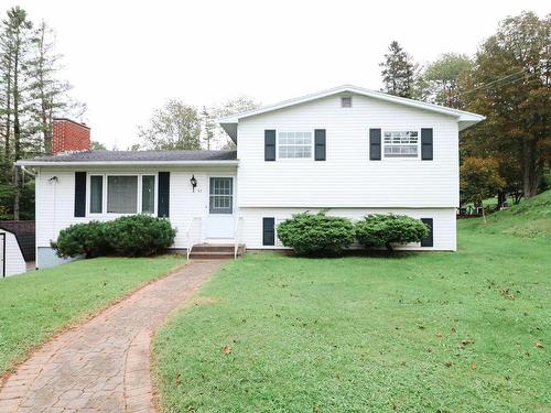 52 Evergreen Drive, Salmon River, NS 