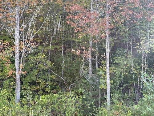 Lot 3 Ohio East Road, St. Joseph, NS 