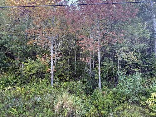 Lot 3 Ohio East Road, St. Joseph, NS 