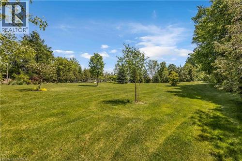 Expansive green space featuring a large lawn area and mature perimeter trees - 302 German School Road, Paris, ON 