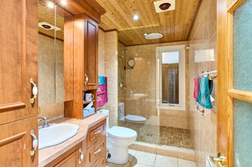 Salle de bains - 648 Mtée Des Trente, Mont-Saint-Hilaire, QC 
