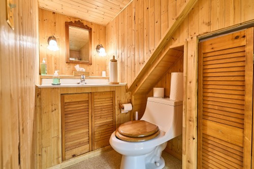 Salle d'eau - 648 Mtée Des Trente, Mont-Saint-Hilaire, QC 