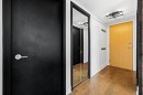 Hall d'entrée/Vestibule - 1961-101 Rue Peel, Montréal (Le Sud-Ouest), QC 