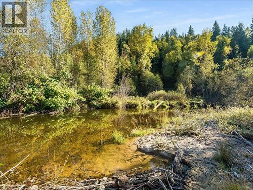 3168 Pass Creek Road, Crescent Valley, BC 