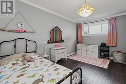 2nd Lower Level bedroom - 