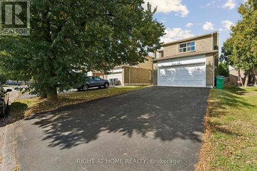 77 Morton Way, Brampton, ON 