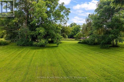 The lower part of this massive backyard - 110-112-114 Clothier Street E, North Grenville, ON 