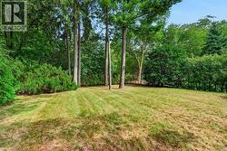 Expansive lawn area with natural landscaping, mature trees, and dense foliage - 