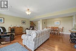 Lower level family room - 