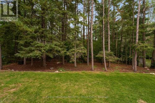 11 Colborne Street, Oro-Medonte, ON 