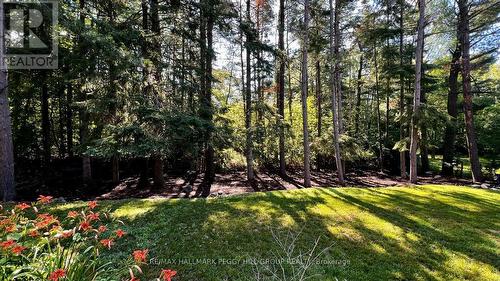 11 Colborne Street, Oro-Medonte, ON 