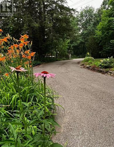 11 Colborne Street, Oro-Medonte, ON 
