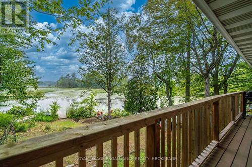 4781 Wilmer Road, South Frontenac, ON 