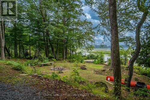 4781 Wilmer Road, South Frontenac, ON 