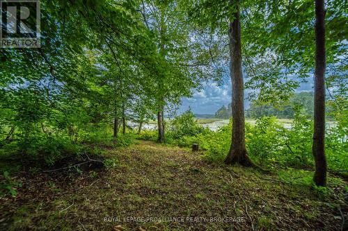 4781 Wilmer Road, South Frontenac, ON 