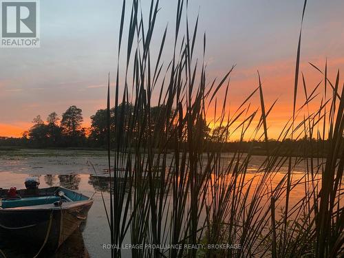 4781 Wilmer Road, South Frontenac, ON 