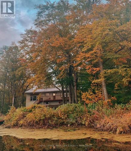 4781 Wilmer Road, South Frontenac, ON 
