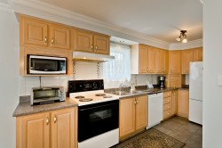 Cuisine - 